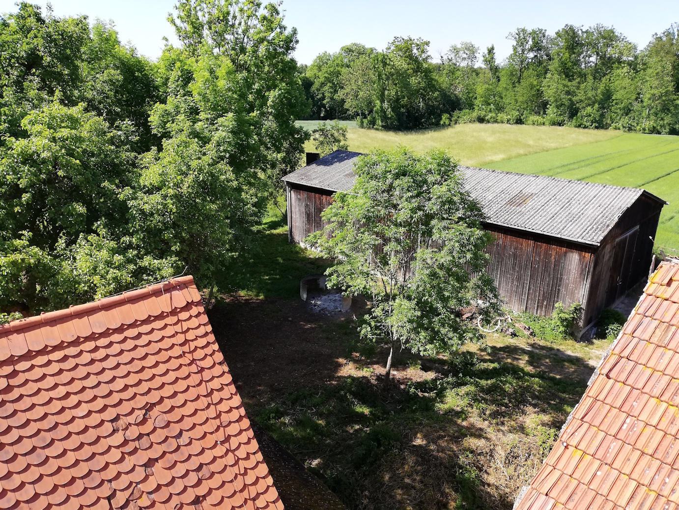 Blick über die Dächer in den Auenwald